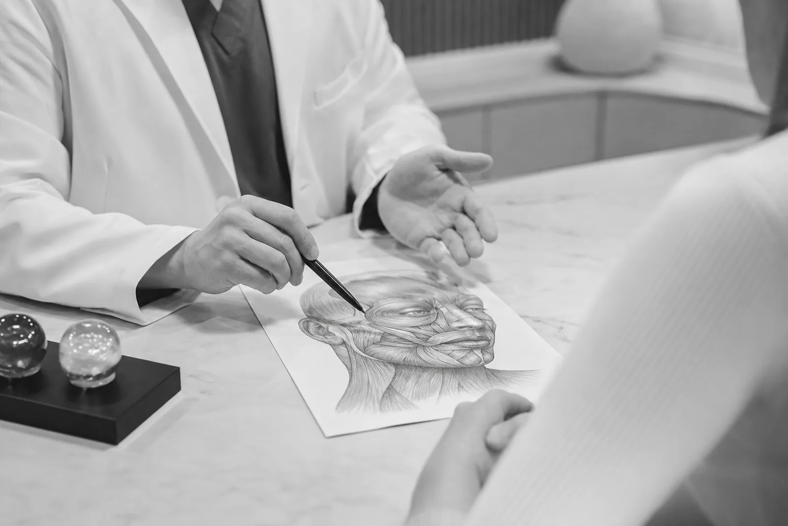 Formador a explicar anatomia facial aplicada durante uma consulta clínica